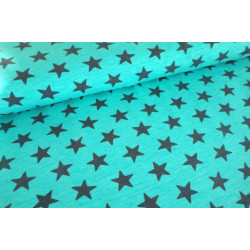 Jersey Rollin Stars dunkelgrau auf dunkelmint